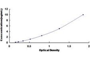 Typical standard curve (LEFTY1 ELISA Kit)