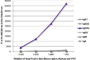 FLISA plate was coated with purified mouse IgG1, IgG2a, IgG2b, IgG3, IgM, and IgA. (Goat anti-Mouse IgG2b Antibody (FITC) - Preadsorbed)