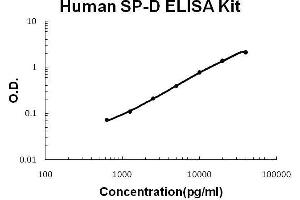 Human SP-D PicoKine ELISA Kit standard curve
