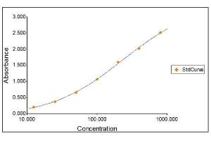 Standard Curve Graph (IgG ELISA Kit)