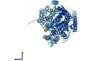 AlphaFold protein structure predicition of Mouse Recombinant Slc5a10 Protein, UniprotID Q5SWY8 (SLC5A10 Protein (AA 1-596) (His tag))