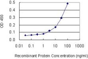 Detection limit for recombinant GST tagged SLC4A8 is 1 ng/ml as a capture antibody. (SLC4A8 antibody  (AA 187-286))