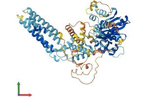 AlphaFold protein structure predicition of Mouse Recombinant Daglb Protein, UniprotID Q91WC9 (DAGLB Protein (AA 1-669) (His tag))