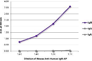 ELISA plate was coated with purified human IgM, IgG, and IgA. (Mouse anti-Human IgM (Heavy Chain) Antibody (Alkaline Phosphatase (AP)))