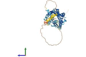 AlphaFold protein structure predicition of Human Recombinant SSTR3 Protein, UniprotID P32745
