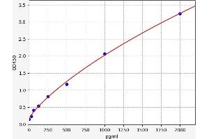 Typical standard curve (SSB ELISA Kit)