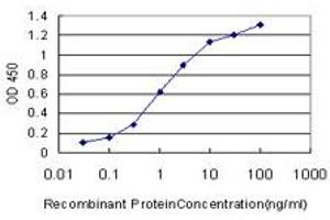 Detection limit for recombinant GST tagged AFF4 is approximately 0. (AFF4 antibody  (AA 1-108))