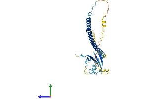 Protein Structure (PS) image for UBX Domain Protein 8 (UBXN8) (AA 1-270) protein (His tag) (ABIN7544867)