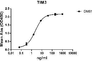 ELISA plate pre-coated by 2 μg/mL (100 μL/well) Human TIM3 protein, mFc-His tagged protein ((ABIN6961103, ABIN7042235 and ABIN7042236)) can bind Rabbit anti-TIM3 monoclonal antibody(clone: DM81) in a linear range of 0. (TIM3 antibody  (AA 22-202))