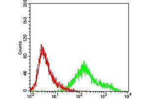 Flow cytometric analysis of A431 cells using CCNA2 mouse mAb (green) and negative control (red). (Cyclin A antibody  (AA 105-233))