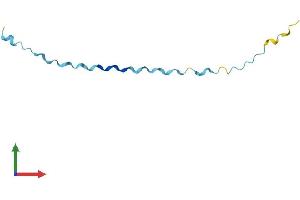 AlphaFold protein structure predicition of Human Recombinant SPRR2G Protein, UniprotID Q9BYE4 (SPRR2G Protein (AA 1-73) (Fc Tag))