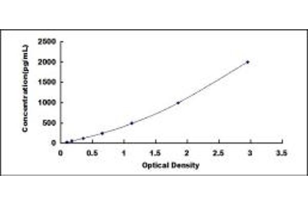 CCL8 ELISA Kit