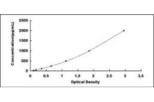 Typical standard curve (CCL8 ELISA Kit)