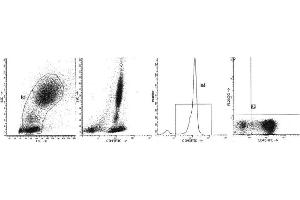 Image no. 1 for anti-Sialophorin (SPN) antibody (PE) (ABIN1106376) (CD43 antibody  (PE))