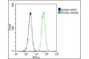 Flow Cytometry (FACS) image for anti-Major Histocompatibility Complex, Class II, DP beta 1 (HLA-DPB1) (AA 77-105) antibody (ABIN657755)