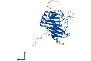 AlphaFold protein structure predicition of Human Recombinant ALKBH3 Protein, UniprotID Q96Q83
