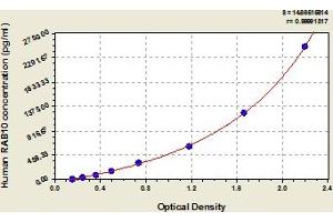 RAB10 ELISA Kit