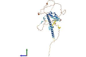 AlphaFold protein structure predicition of Mouse Recombinant Sav1 Protein, UniprotID Q8VEB2
