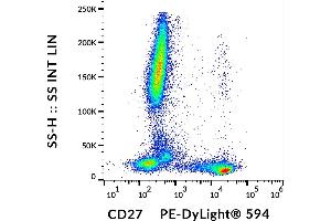 Flow cytometry analysis (surface staining) of human peripheral blood cells with anti-human CD27 (LT27) PE-DyLight® 594.