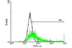Flow Cytometry (FACS) image for anti-Major Histocompatibility Complex, Class II, DR beta 3 (HLA-DRB3) (AA 1-266) antibody (ABIN516514)