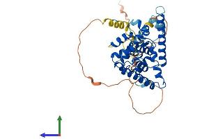 Protein Structure (PS) image for Nuclear Receptor Subfamily 2, Group E, Member 1 (NR2E1) (AA 1-385) protein (His tag) (ABIN7557808)