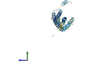 Protein Structure (PS) image for Syntaxin 11 (STX11) (AA 1-287) protein (His tag) (ABIN7544040)