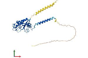 AlphaFold protein structure predicition of Mouse Recombinant Glipr1l2 Protein, UniprotID Q9CQ35