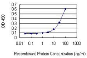Detection limit for recombinant GST tagged MPP2 is 1 ng/ml as a capture antibody. (MPP2 antibody  (AA 1-552))