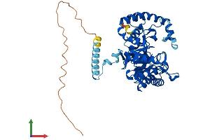 AlphaFold protein structure predicition of Human Recombinant KCNAB1 Protein, UniprotID Q14722