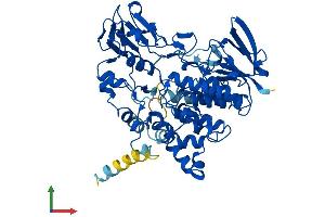 AlphaFold protein structure predicition of Human Recombinant FMO6P Protein, UniprotID O60774 (FMO6P Protein (AA 1-539) (His tag))