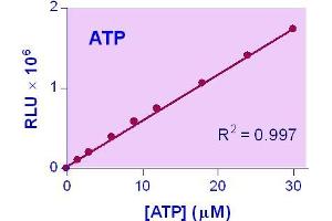 Biochemical Assay (BCA) image for ATP Assay Kit (ABIN1000293) (ATP Assay Kit)