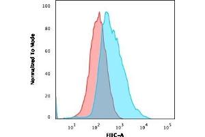 Flow Cytometric Analysis of PFA-fixed MCF cells. (JUP antibody)