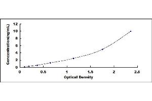 S100 Calcium Binding Protein A4 (S100A4) ELISA Kit