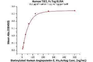 Immobilized Human TIE2, Fc Tag (ABIN6992355) at 2 μg/mL (100 μL/well) can bind Biotinylated Human Angiopoietin-2, His,Avitag (ABIN6972942) with a linear range of 4-63 ng/mL (Routinely tested).
