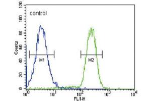 Flow Cytometry (FACS) image for anti-Hydroxysteroid (17-Beta) Dehydrogenase 2 (HSD17B2) antibody (ABIN3002244) (HSD17B2 antibody)