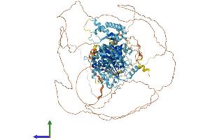 AlphaFold protein structure predicition of Mouse Recombinant Mcm9 Protein, UniprotID Q2KHI9