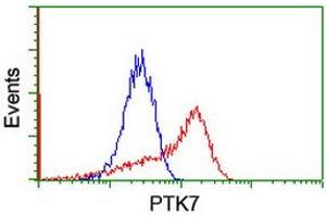 HEK293T cells transfected with either RC223416 overexpress plasmid (Red) or empty vector control plasmid (Blue) were immunostained by anti-PTK7 antibody (ABIN2455287), and then analyzed by flow cytometry. (PTK7 antibody)