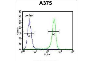 Flow cytometric analysis of A375 cells (right histogram) compared to a negative control cell (left histogram). (Desmocollin 1 antibody  (C-Term))