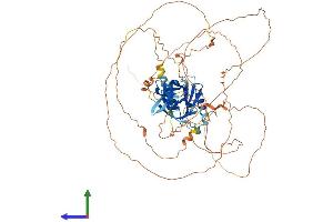 AlphaFold protein structure predicition of Mouse Recombinant Mapk8ip1 Protein, UniprotID Q9WVI9