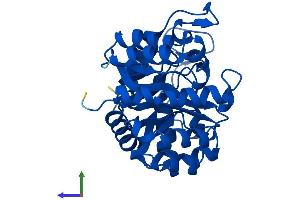 Protein Structure (PS) image for TatD DNase Domain Containing 1 (TATDN1) (AA 1-297) protein (His tag) (ABIN7544163)