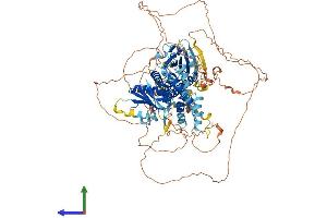 AlphaFold protein structure predicition of Mouse Recombinant Smcr8 Protein, UniprotID Q3UMB5 (SMCR8 Protein (AA 1-935) (His tag))