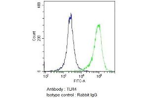 Flow Cytometry analysis using Rabbit Anti-TLR4 Polyclonal Antibody (ABIN2485973). (TLR4 antibody  (AA 420-435) (HRP))