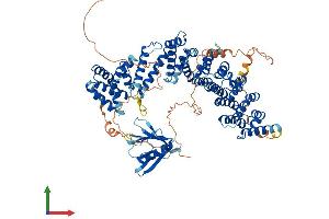 AlphaFold protein structure predicition of Mouse Recombinant Ppp4r3a Protein, UniprotID Q6P2K6 (SMEK1 Protein (AA 1-820) (His tag))