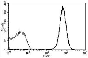 Flow Cytometry (FACS) image for anti-Platelet/endothelial Cell Adhesion Molecule (PECAM1) antibody (PE) (ABIN1106261) (CD31 antibody  (PE))