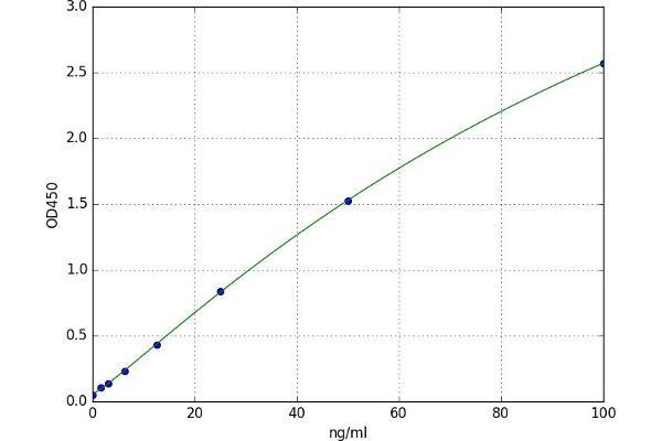 Anti-Nuclear Antibody (ANA) ELISA Kit