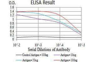 Black line: Control Antigen (100 ng);Purple line: Antigen (10ng); Blue line: Antigen (50 ng); Red line:Antigen (100 ng) (Phospholipase C gamma 1 antibody  (AA 39-181))