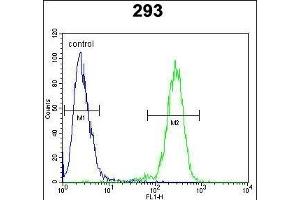 N2A1 Antibody (Center) (ABIN654920 and ABIN2844565) flow cytometric analysis of 293 cells (right histogram) compared to a negative control cell (left histogram). (alpha-Mannosidase II antibody  (AA 456-482))
