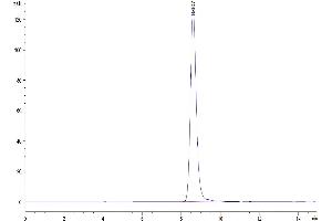 The purity of Mouse HPX is greater than 95 % as determined by SEC-HPLC. (Hemopexin Protein (HPX) (AA 24-460) (His tag))