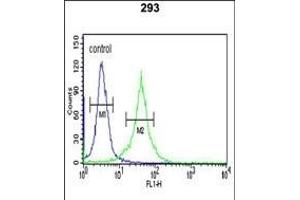 DCD Antibody (C-term) (ABIN390675 and ABIN2840970) flow cytometric analysis of 293 cells (right histogram) compared to a negative control cell (left histogram). (Dermcidin antibody  (C-Term))
