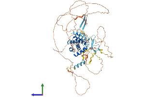 AlphaFold protein structure predicition of Human Recombinant CABLES1 Protein, UniprotID Q8TDN4 (CABLES1 Protein (AA 1-633) (His tag))
